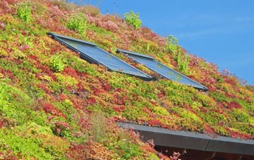 North Wroughton living roof systems